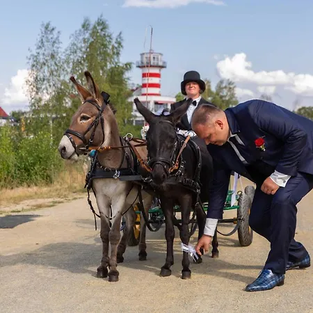 Der Leuchtturm-gastro Gmbh מלון