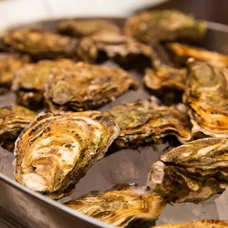 Der Leuchtturm-gastro Gmbh فندق